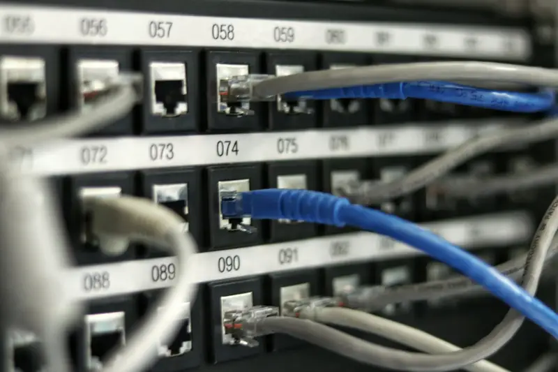 Blue and grey network cables in a patch panel