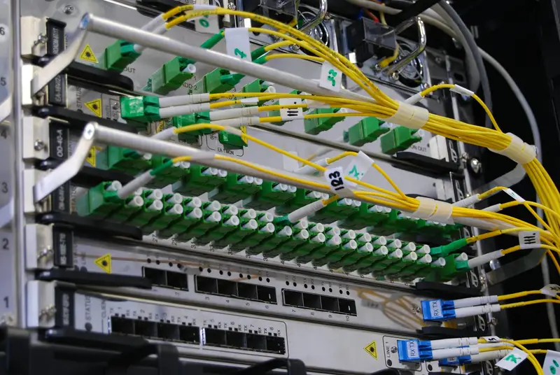 Yellow fibre-optic cables plugged into a network switch
