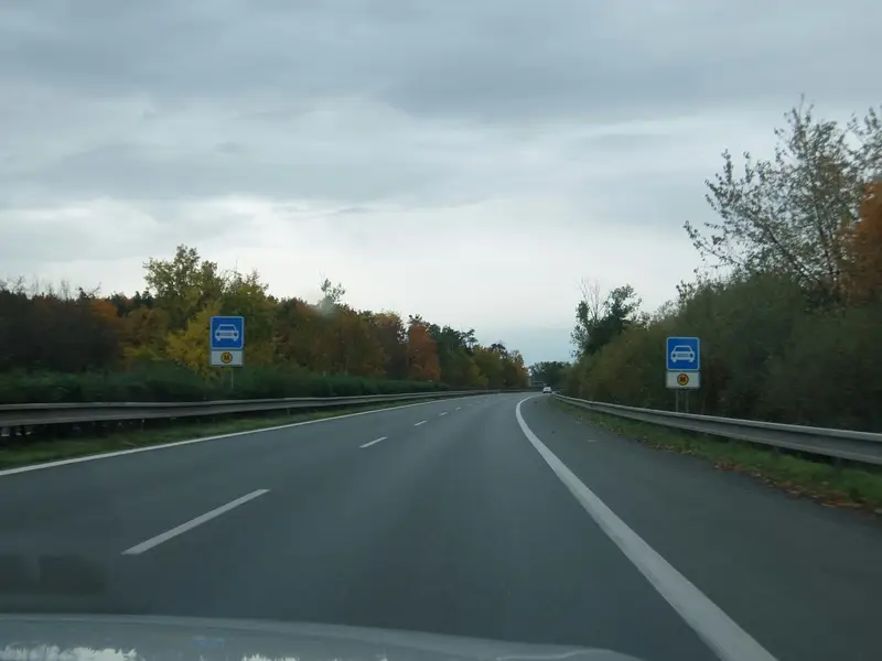 A quiet motorway lined with autumn trees and blue road signs